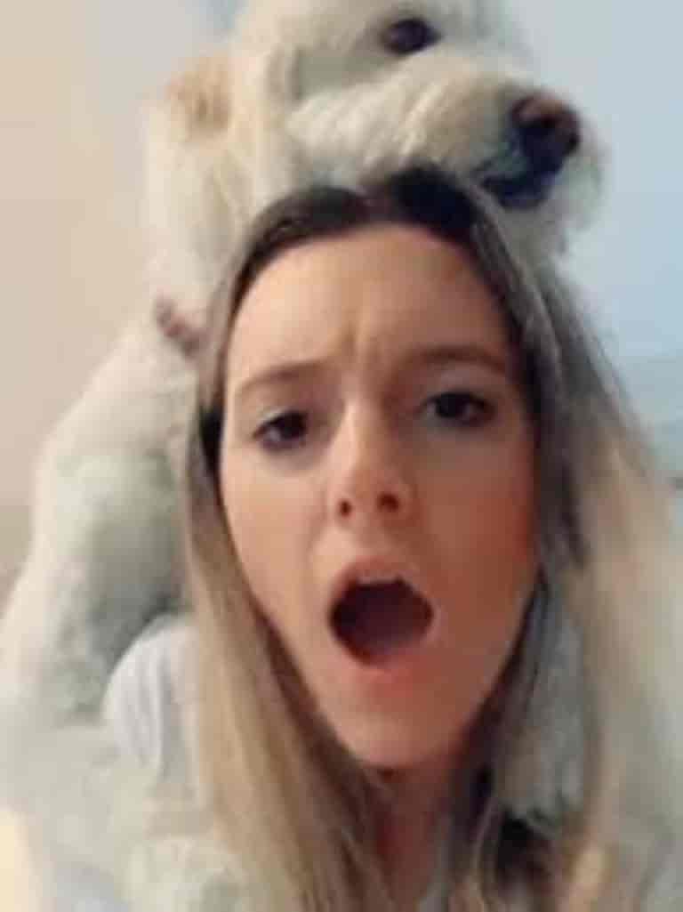 denise frazier dog video (6)